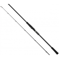 пиннинг Favorite Black Swan BSWTS1-772MH 2.32m 10-36g Fast