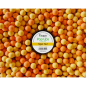 Puhach Baits Pop Ups 10 mm Multicolor - Tiger Nut (Тигровий горіх)