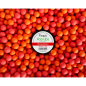 Puhach Baits Pop Ups 10 mm Multicolor - Strawberry (Полуниця)