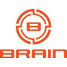 Brain 